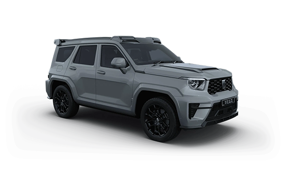 Tank 700 I - Мультинский Серый