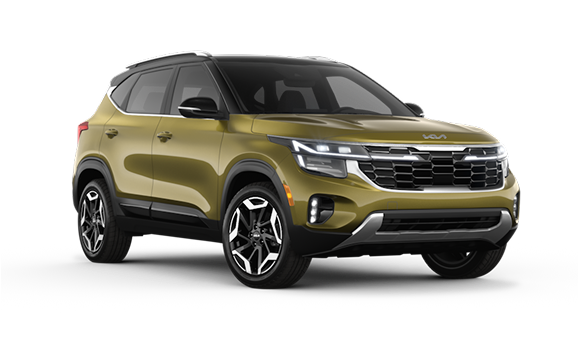 KIA Seltos I Рест - Valais Green/Fusion Black Roof