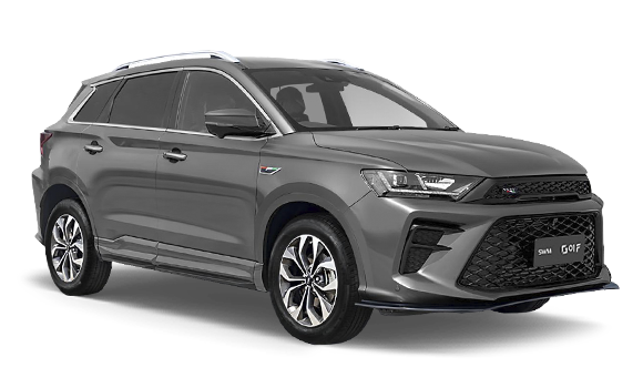 SWM G01F I - Серый металлик